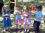 chicks145.jpg