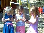 chicks147.jpg